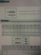发动机链（正时链）