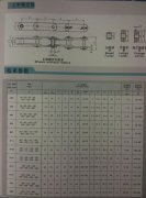 公制输送链